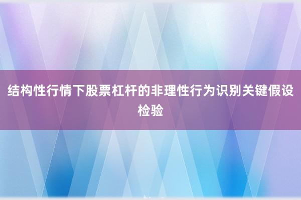 结构性行情下股票杠杆的非理性行为识别关键假设检验