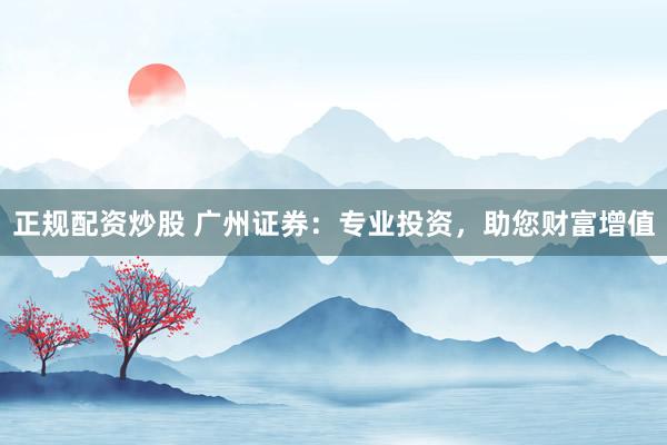 正规配资炒股 广州证券：专业投资，助您财富增值
